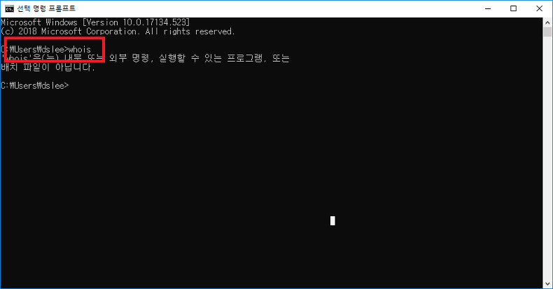 CMD에서 whois 명령어 사용하는 방법